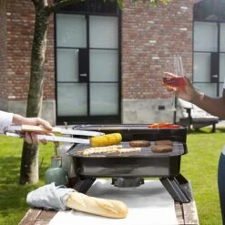 Princess 112252 Hybride Barbecue – Elektrische BBQ - Tafelmodel - 2000W - 44x 29cm - Gebruik Elektrisch Of Met Kolen -Barbecue Verkoop 1200x1200 547