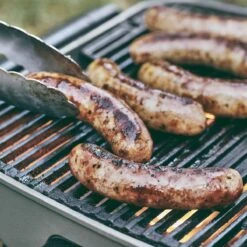 Burnhard Draagbare 2-Branders Gasbarbecue - Afdekhoes - BBQ Wayne -Barbecue Verkoop 1200x1200 636